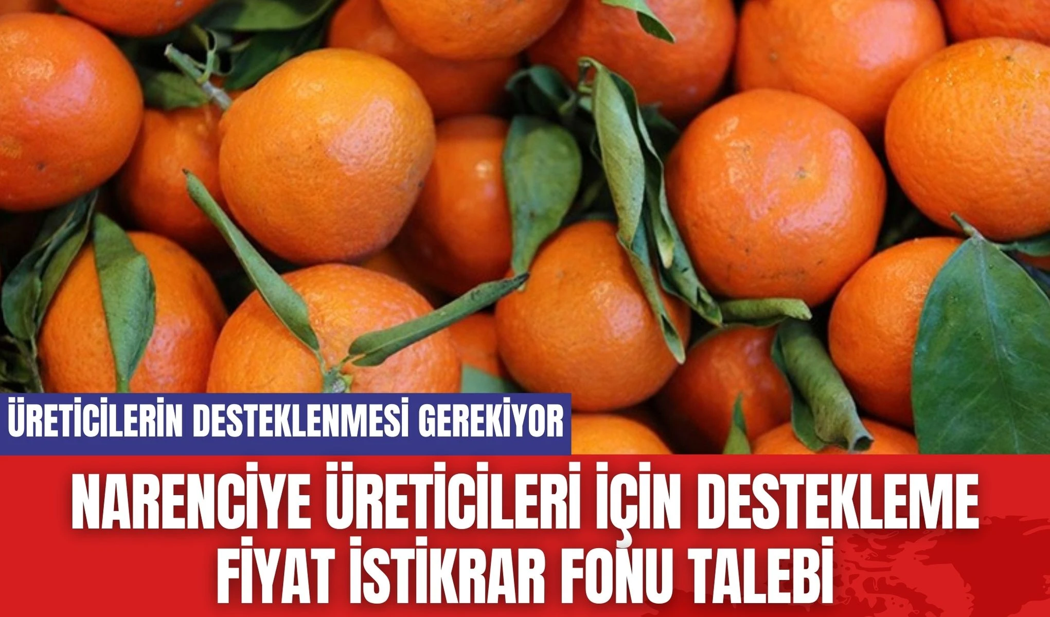 Narenciye Üreticileri İçin Destekleme Fiyat İstikrar Fonu Talebi