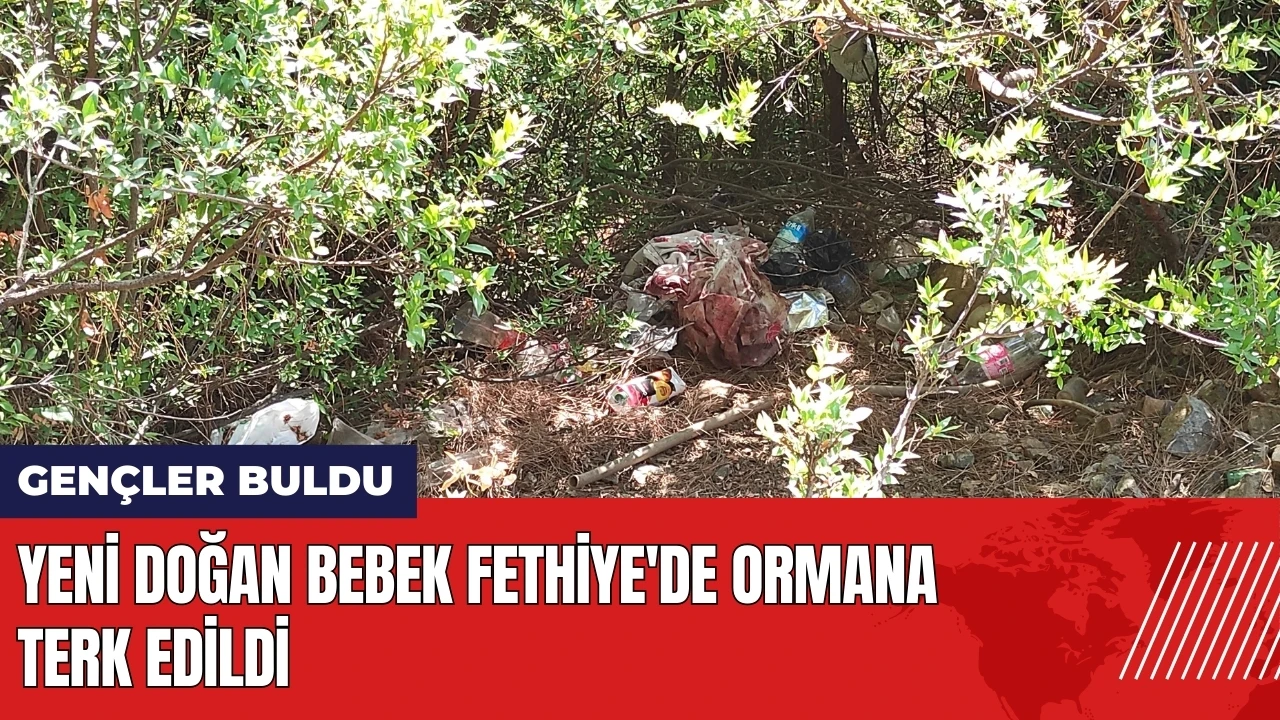 Yeni doğan bebek Fethiye'de ormana terk edildi