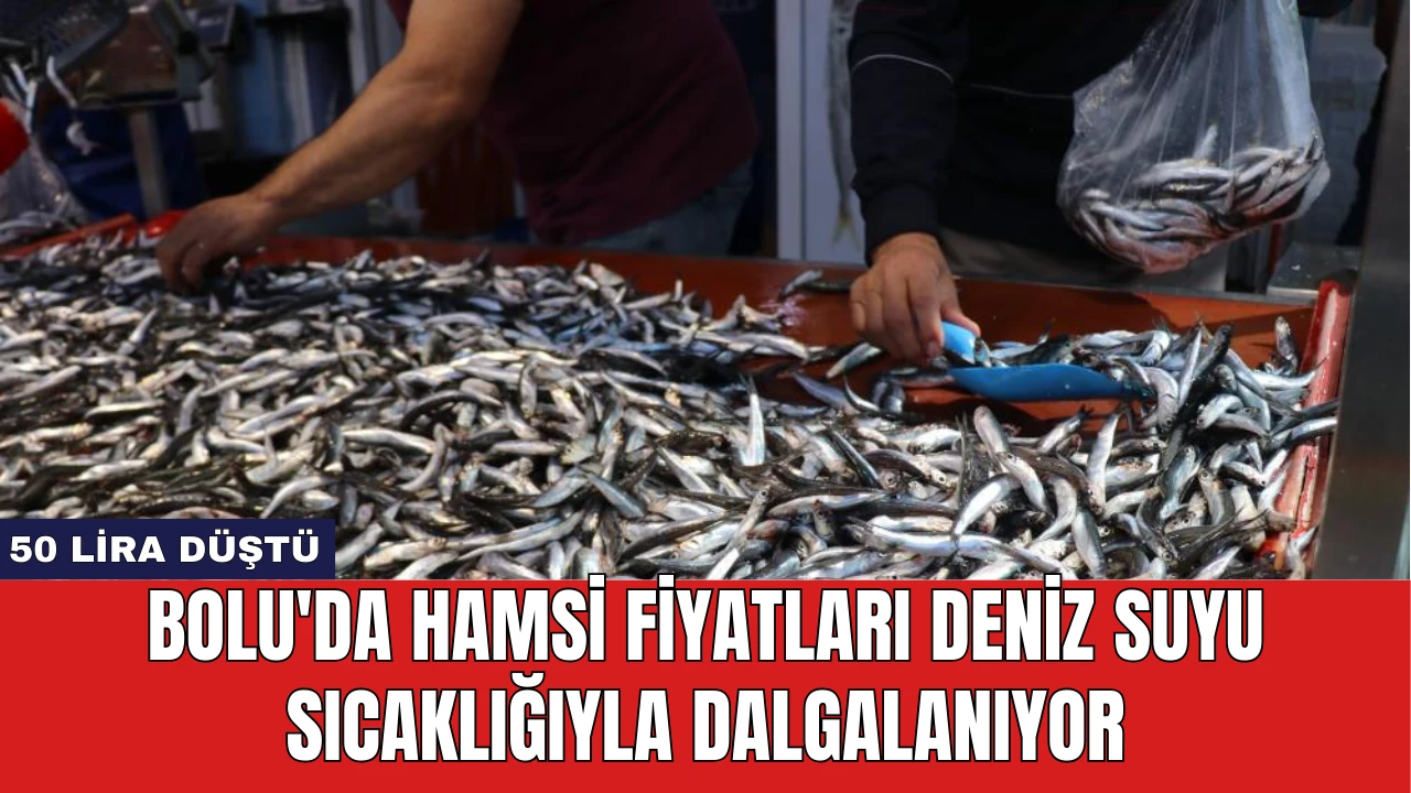 Bolu'da Hamsi Fiyatları Deniz Suyu Sıcaklığıyla Dalgalanıyor