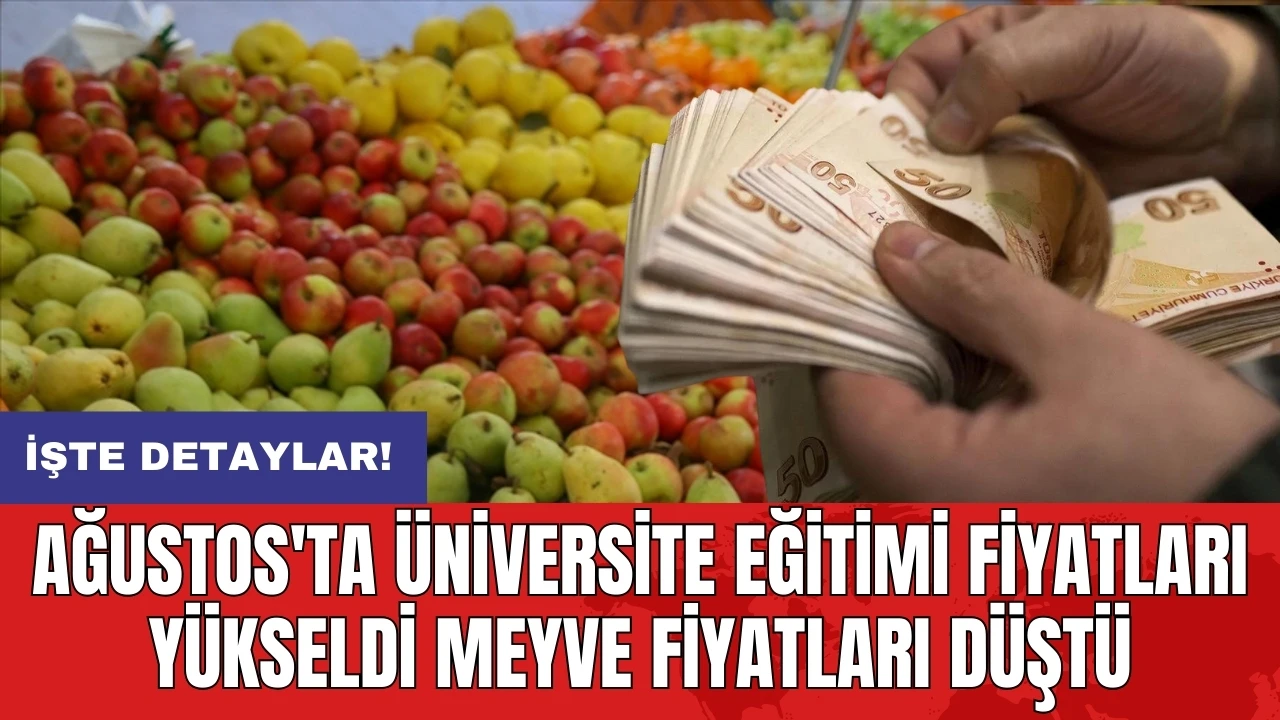 Ağustos'ta üniversite eğitimi fiyatları yükseldi meyve fiyatları düştü