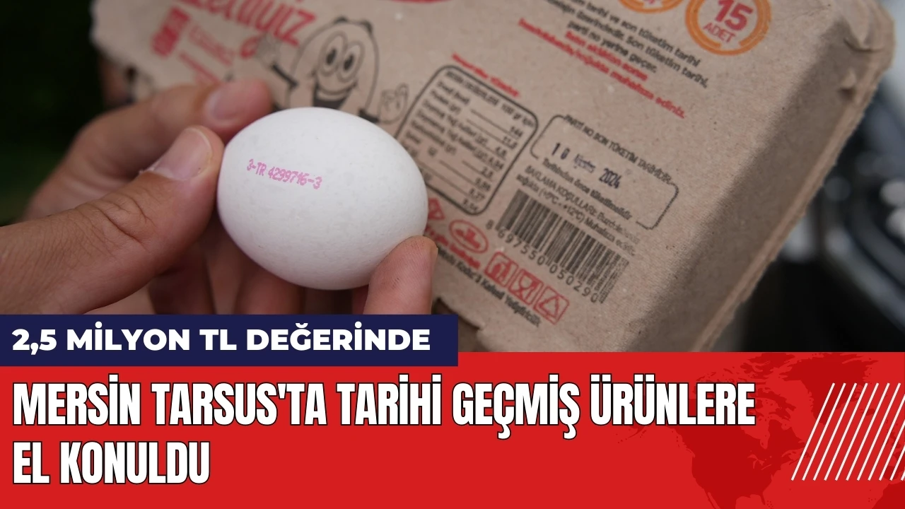 Mersin Tarsus'ta tarihi geçmiş milyonlarca liralık ürüne el konuldu