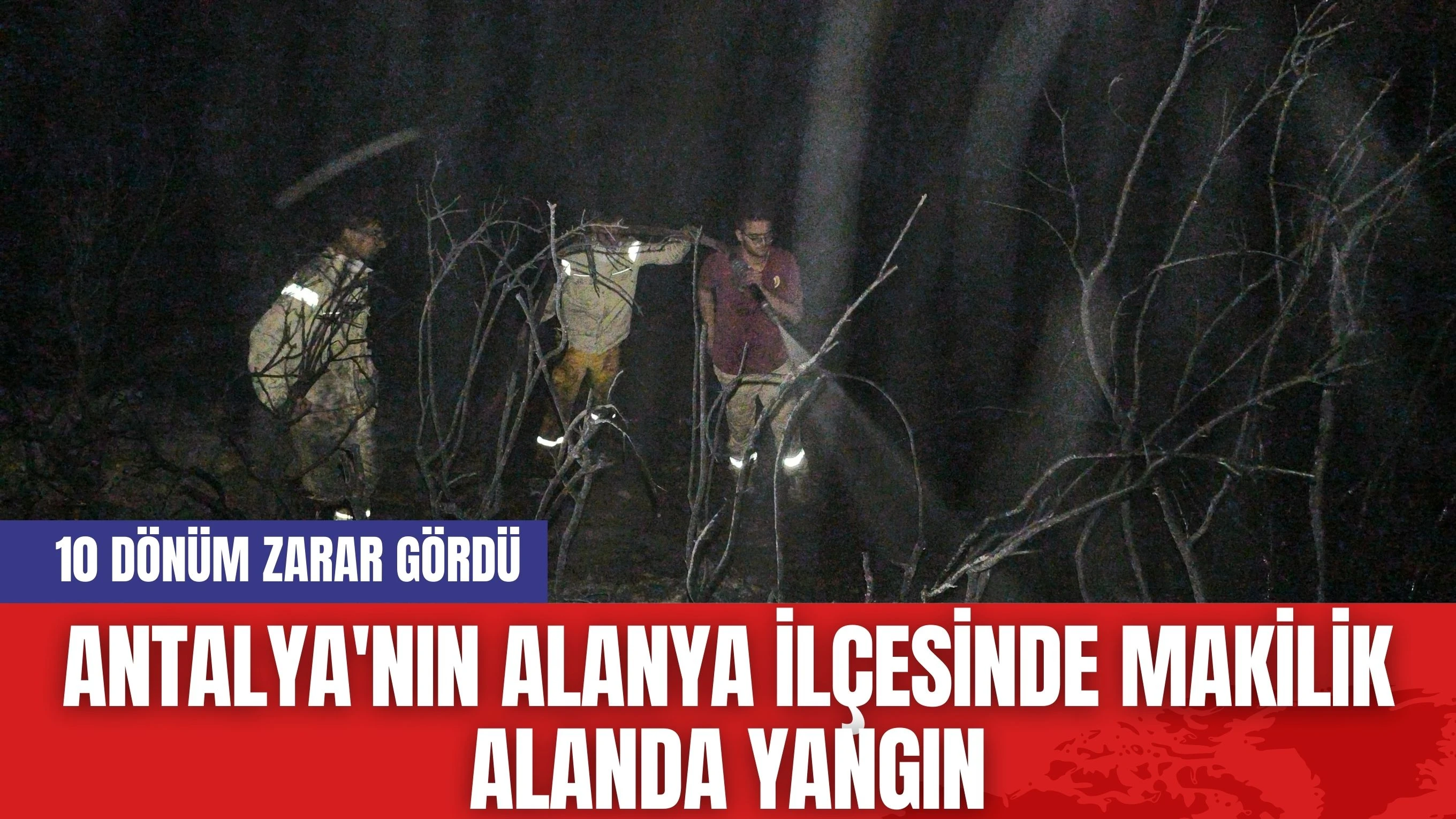 Antalya'nın Alanya İlçesinde Makilik Alanda Yangın: 10 Dönüm Zarar Gördü