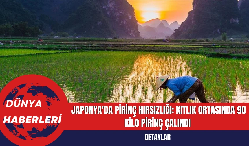 Japonya'da Pirinç Hırsızlığı: Kıtlık Ortasında 90 Kilo Pirinç Çalındı