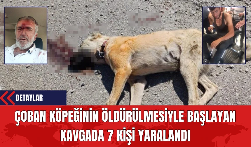 Çoban Köpeğinin Öldürülmesiyle Başlayan Kavgada 7 Kişi Yaralandı