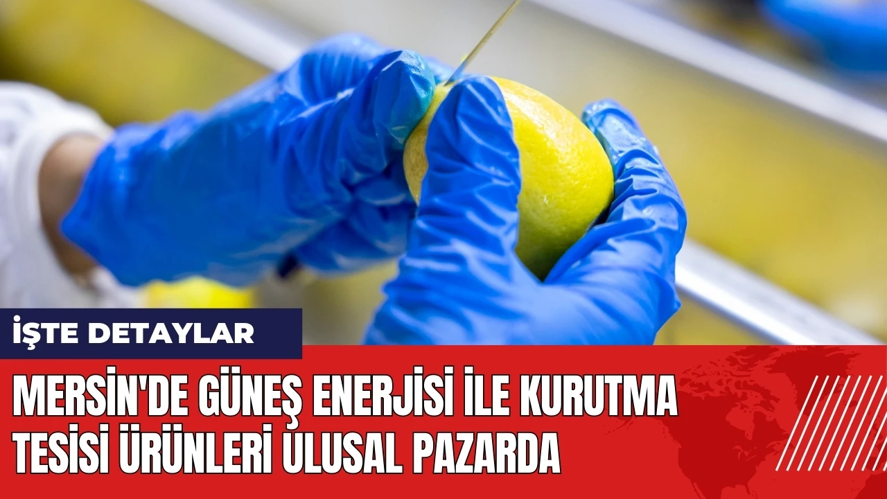 Mersin'de Güneş Enerjisi ile Kurutma Tesisi ürünleri ulusal pazarda