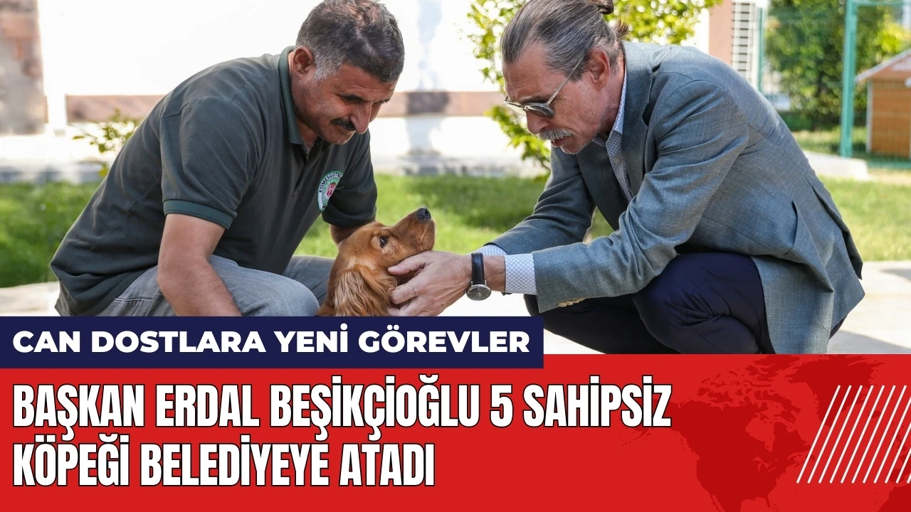 Başkan Erdal Beşikçioğlu 5 sahipsiz köpeği belediyeye atadı