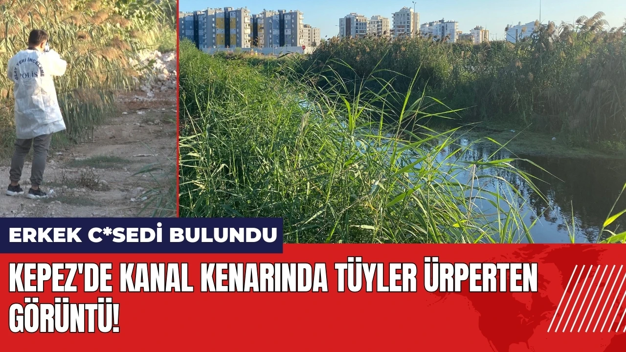 Kepez'de kanal kenarında tüyler ürperten görüntü!