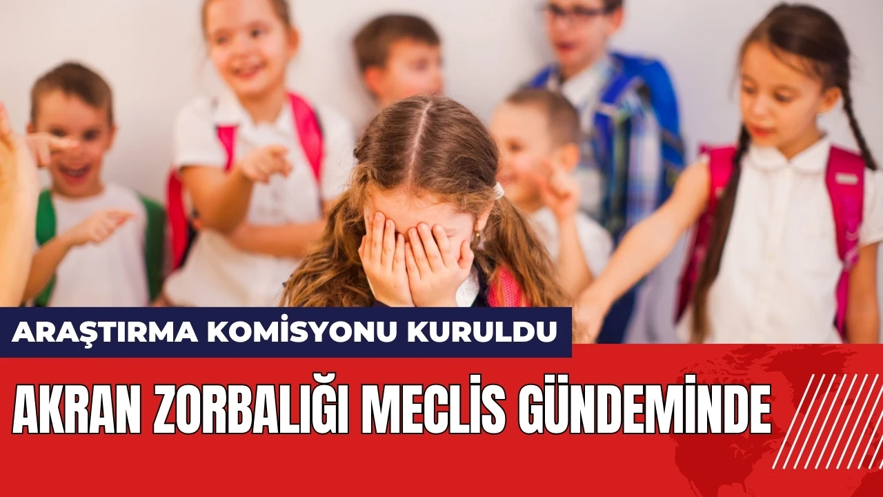 Akran zorbalığı Meclis gündeminde: Araştırma Komisyonu kuruldu