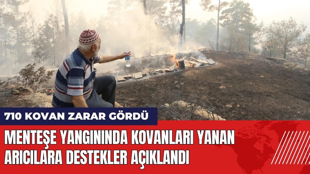 Menteşe yangınında kovanları yanan arıcılara destekler açıklandı