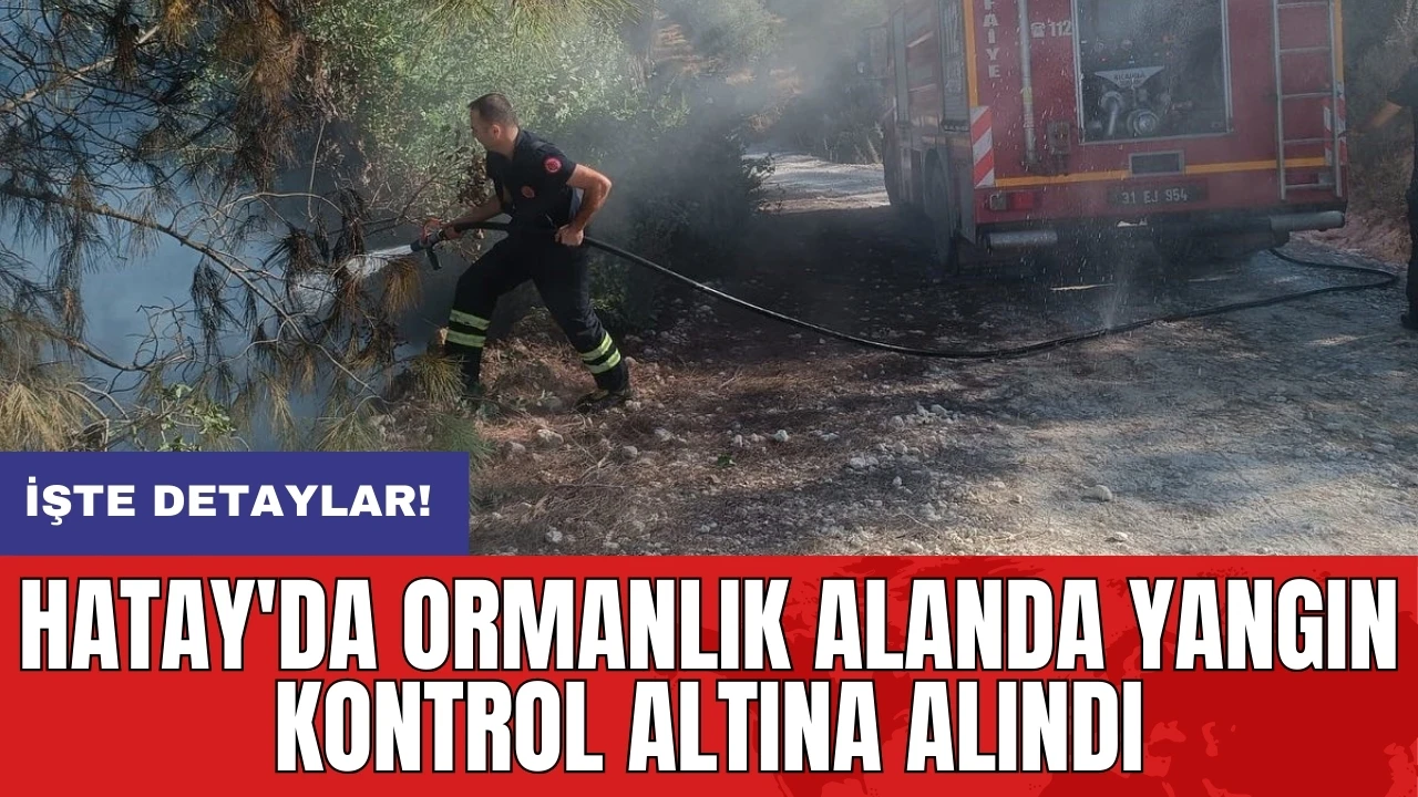 Hatay'da ormanlık alanda yangın kontrol altına alındı