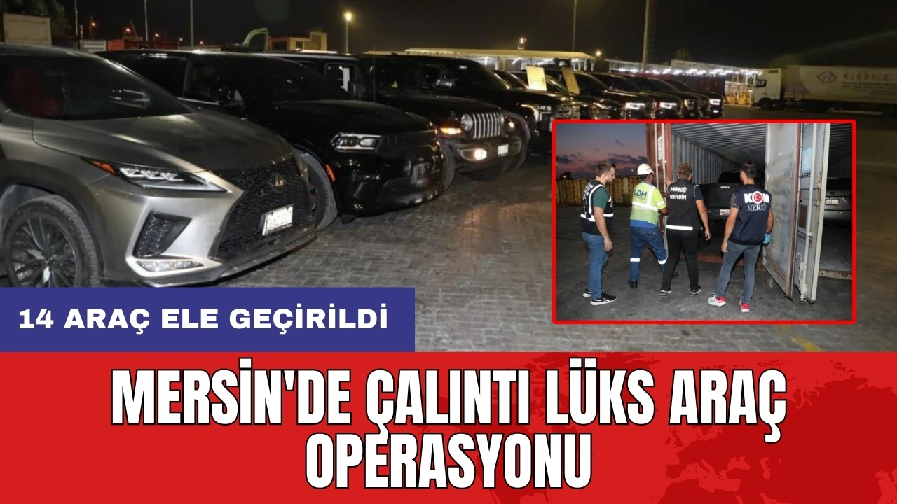 Mersin'de çalıntı lüks araç operasyonu: 14 araç ele geçirildi