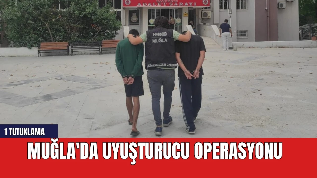 Muğla'da uyuşturucu operasyonu: 1 tutuklama