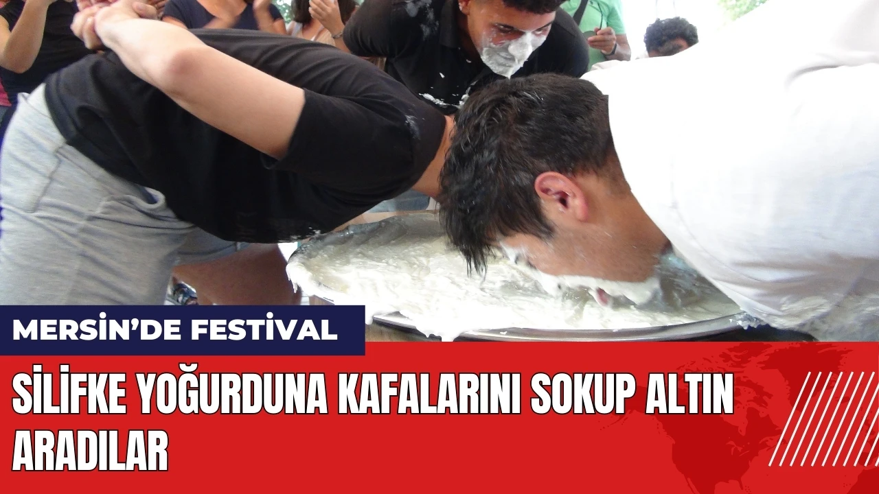 Silifke yoğurduna kafalarını sokup altın aradılar