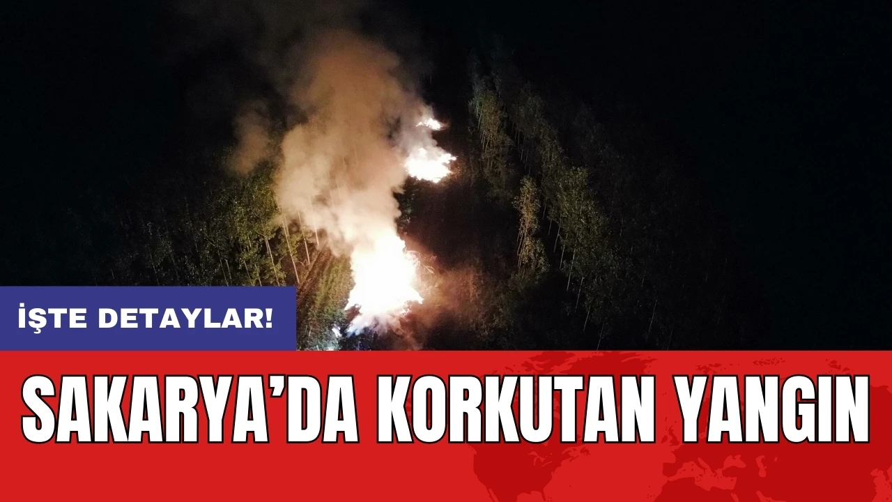 Sakarya’da korkutan yangın