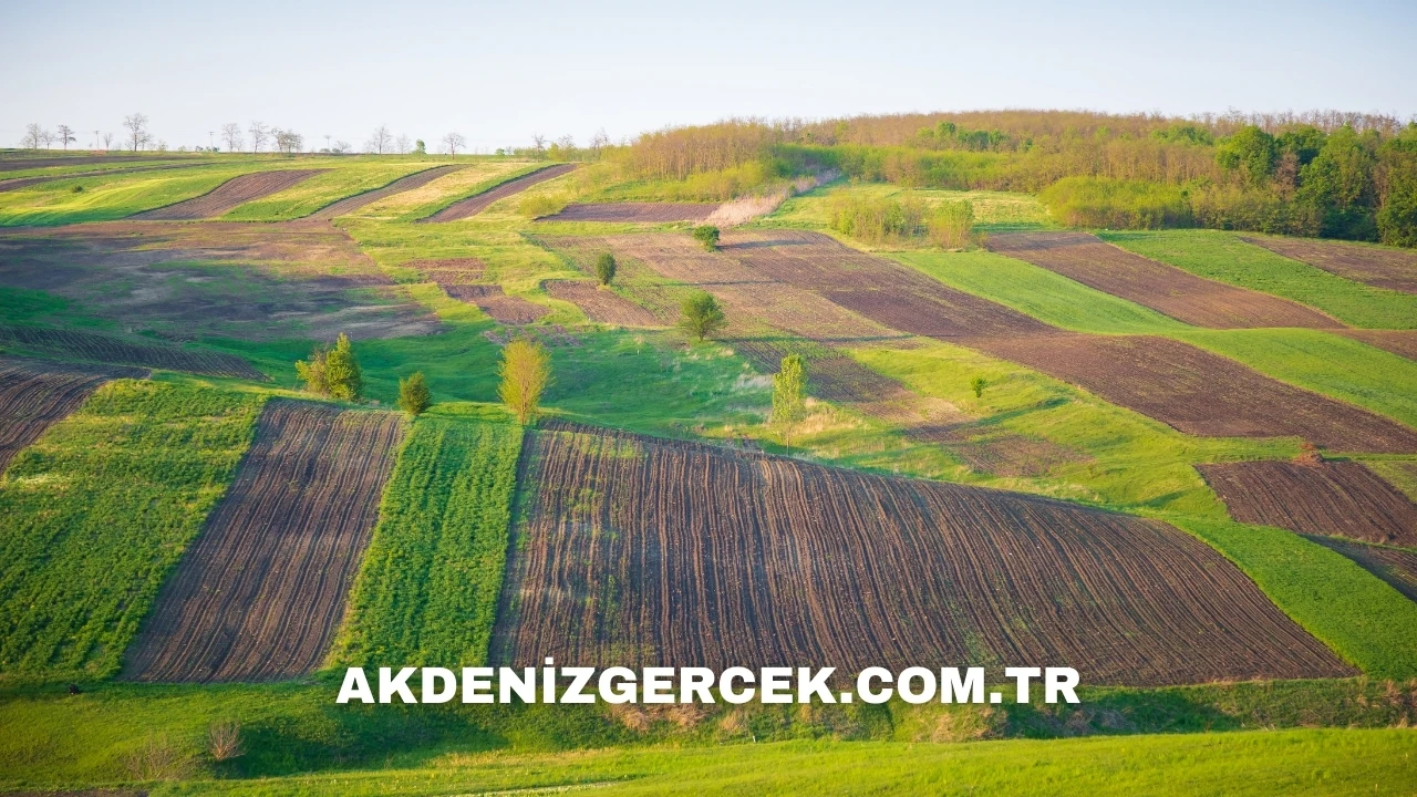 Ankara Gölbaşı'nda mahkemeden satılık arsa