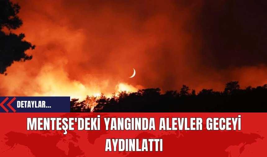 Menteşe'deki Yangında Alevler Geceyi Aydınlattı