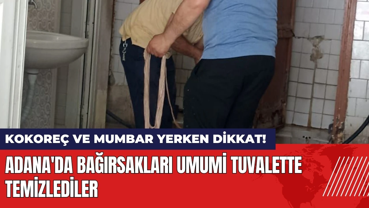 Adana'da kokoreç yerken dikkat! Bağırsakları umumi tuvalette temizledi