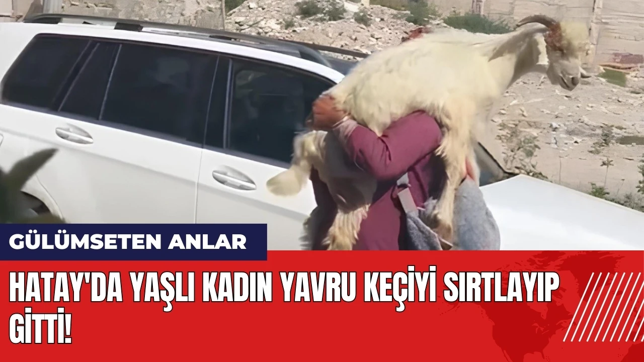 Hatay'da yaşlı kadın yavru keçiyi sırtlayıp gitti!