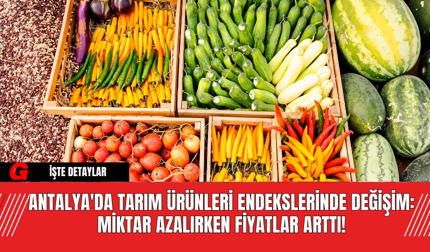 Antalya'da Tarım Ürünleri Endekslerinde Değişim: Miktar Azalırken Fiyatlar Arttı!