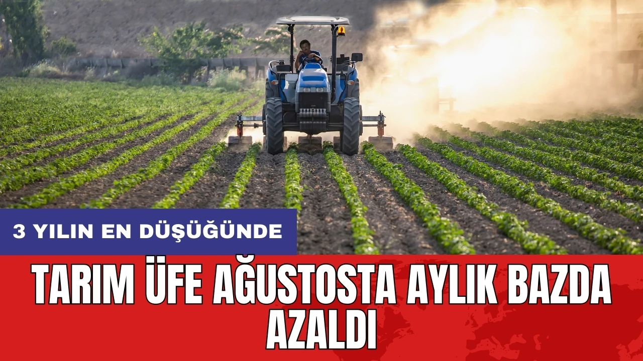 Tarım ÜFE ağustosta aylık bazda azaldı