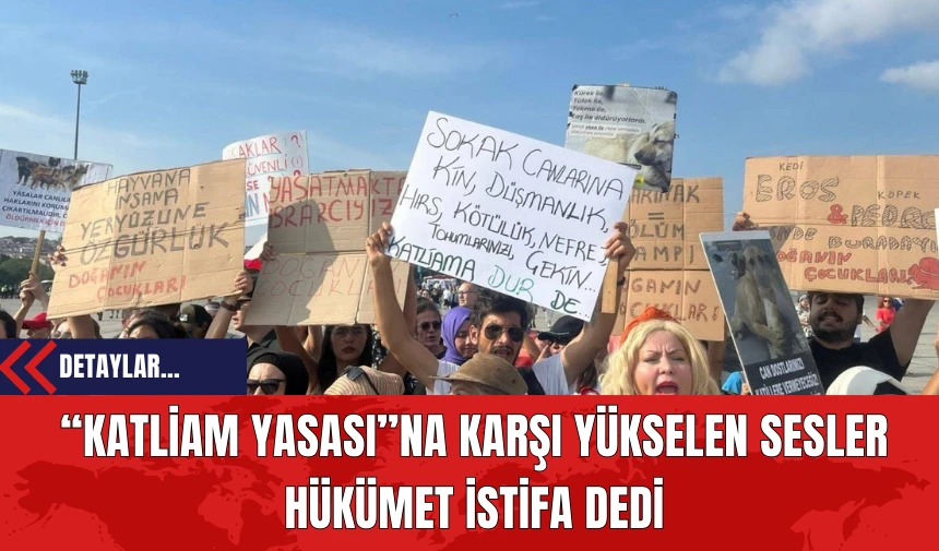 “Katliam Yasası”na Karşı Yükselen Sesler Hükümet İstifa Dedi