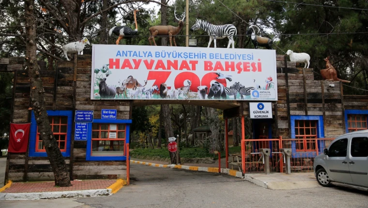 Büyükşehir’den yabani hayvan satış tarifesine güncelleme!